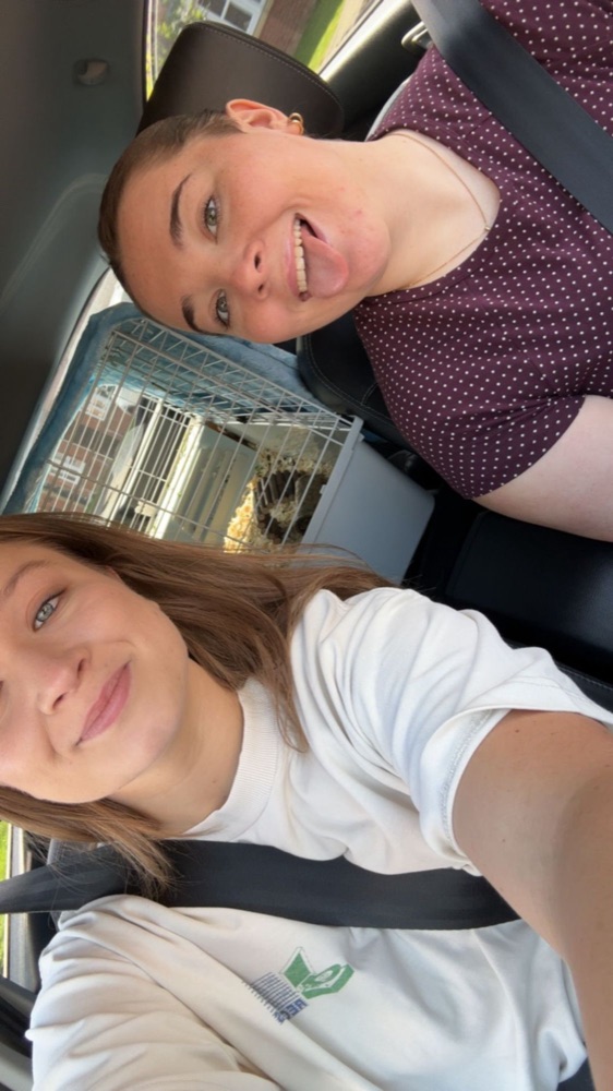 Ruby and Lucy in the car, one pulling a silly face